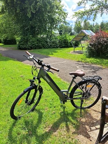 Fafrees F26 PRO Elektrische Fiets