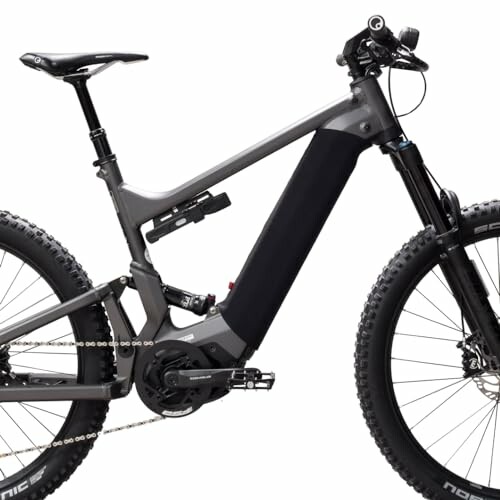 Elektrische mountainbike met dikke banden