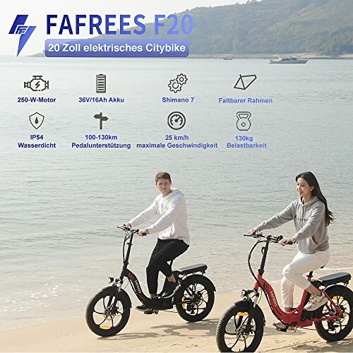 Fafrees F20 Opvouwbare E-bike