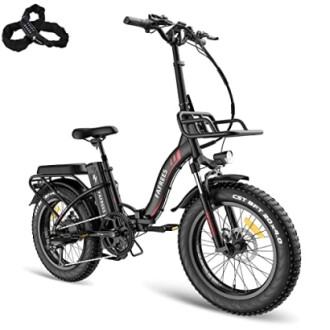 Fafrees F20 Max E-bike