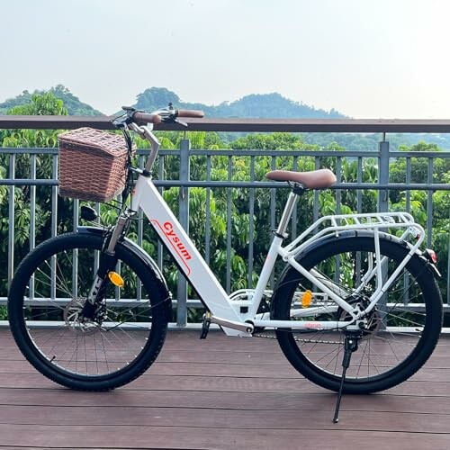 Cysum 250 W Elektrische Stadsfiets